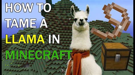How to Tame a Llama .